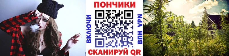 кракен как войти  Заозёрный  Бошки марихуана семена 